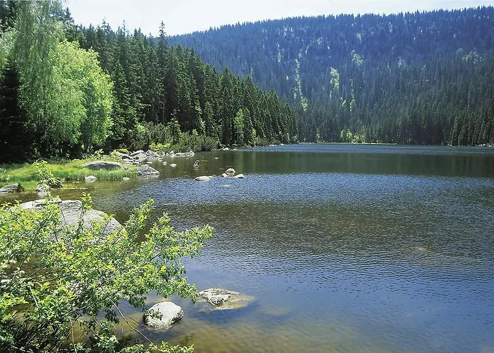 Jugendgaestehaus Konukevi Ulrichsberg