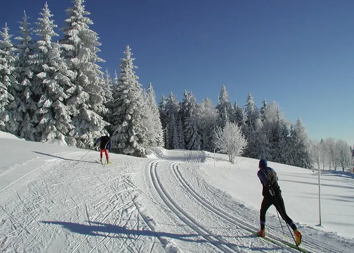 Jugendgaestehaus * Ulrichsberg