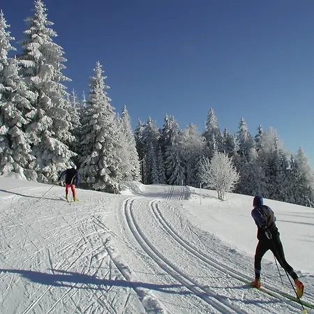 Jugendgaestehaus * Ulrichsberg